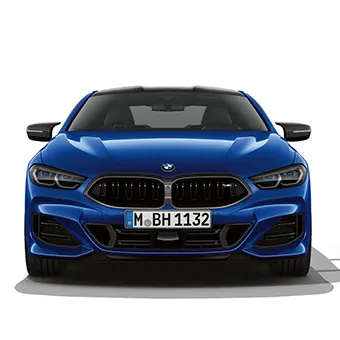 BMW kidney 'Iconic Glow'.