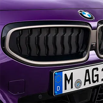 Turbine Style Kidney Grill