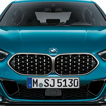 BMW kidney grille in mesh design.