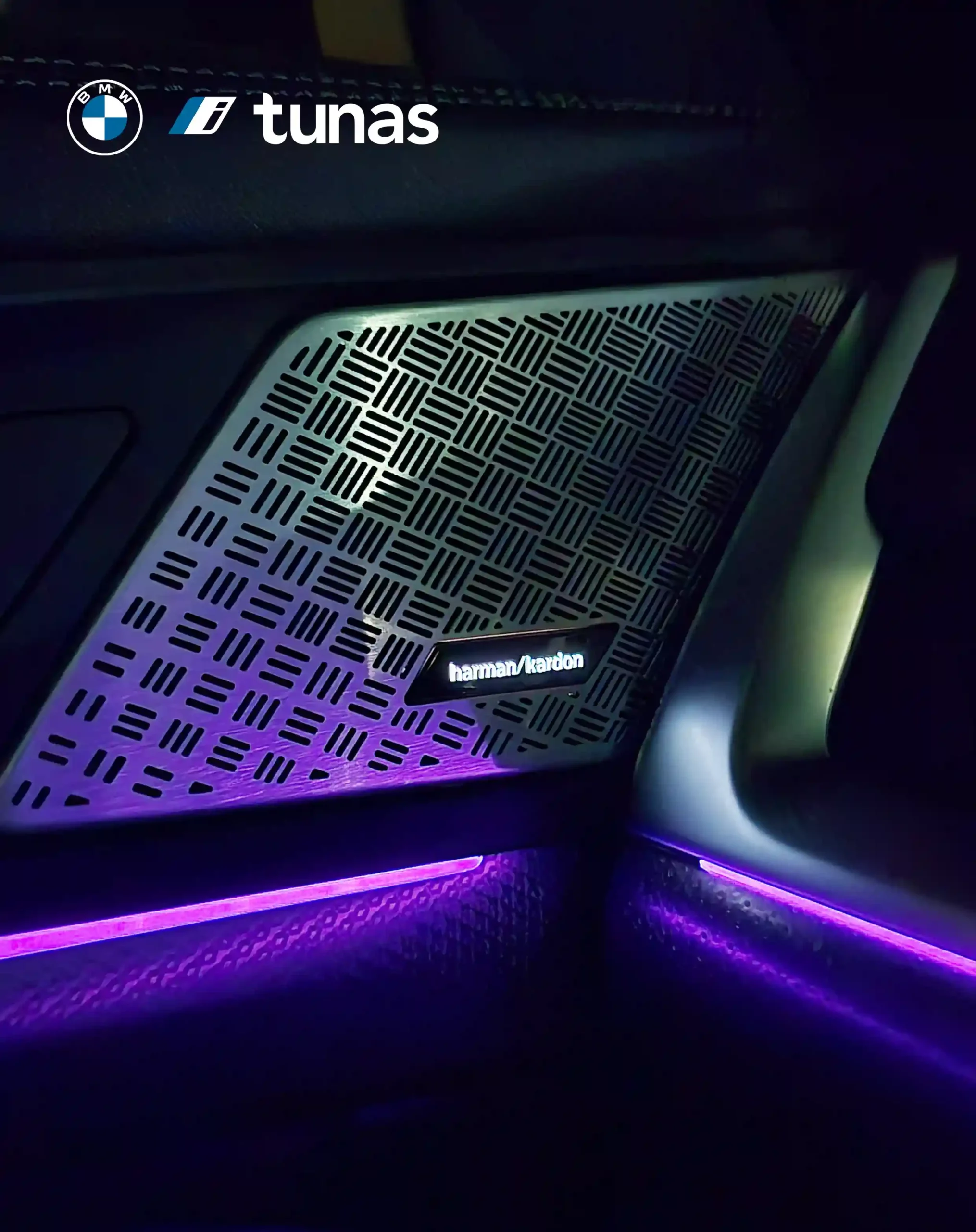 The Harman Kardon Surround Sound audio system