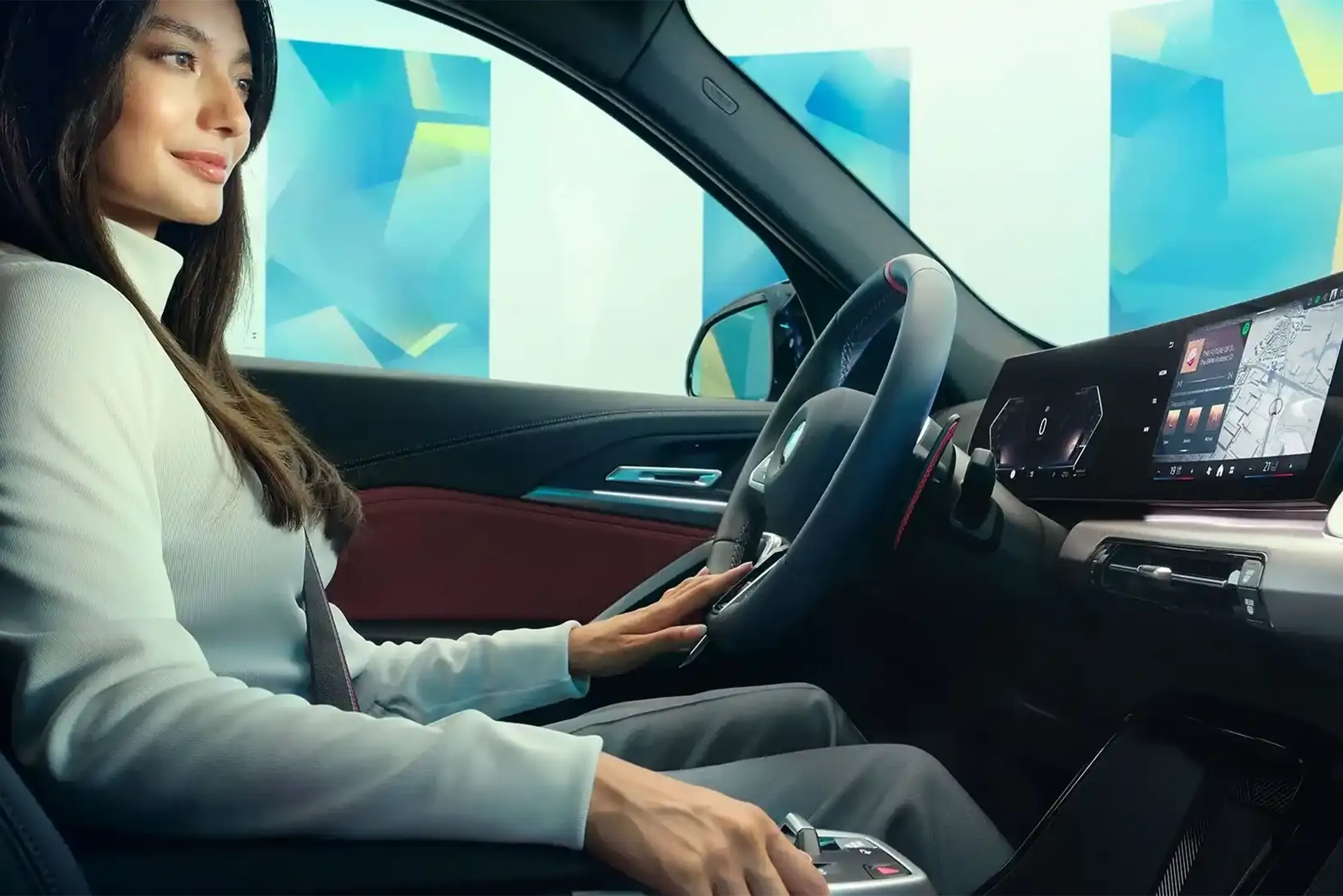 Driving Assistant Professional.